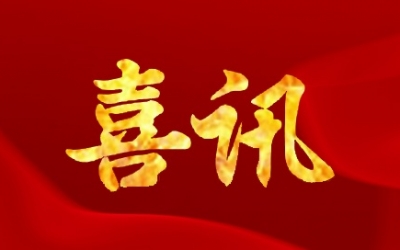 公司順利通過浙江省企業(yè)技術(shù)中心復(fù)評，并獲“優(yōu)秀”等級